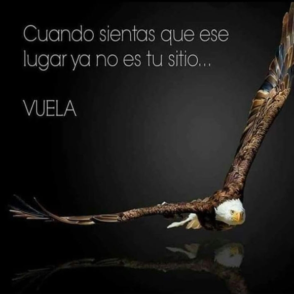 vjvffauvrj